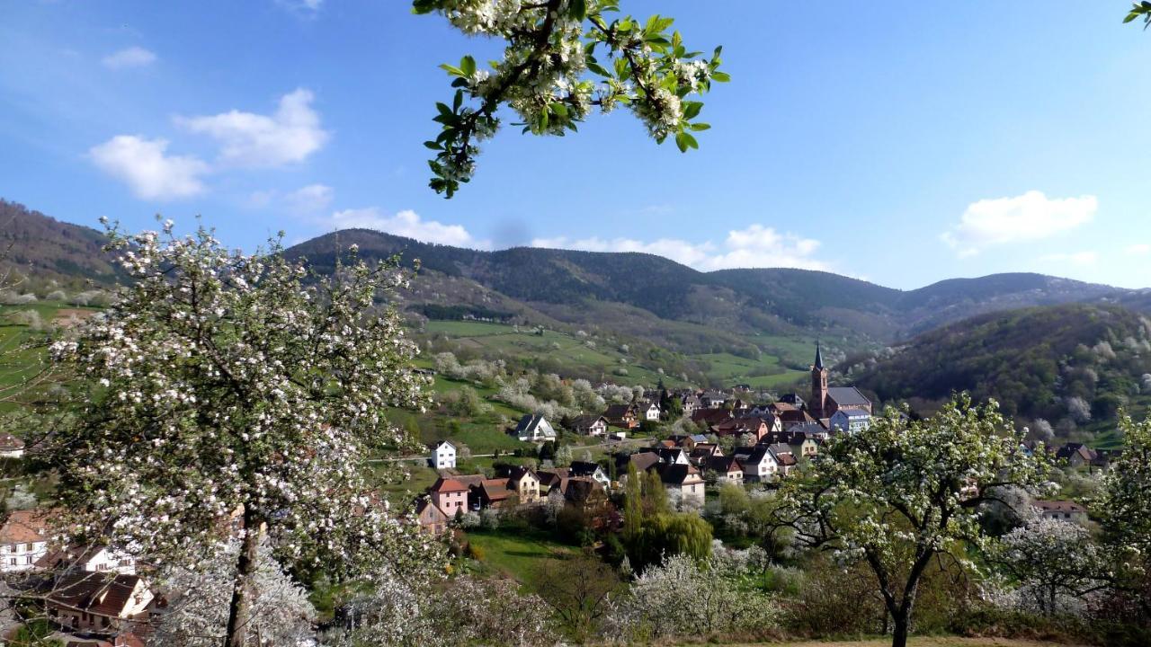 Les Gites La Cerisaie Breitenbach Kültér fotó